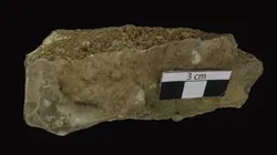 Oolitic limestone, Italy