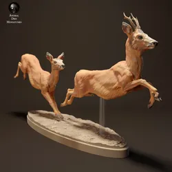 Roe Deer Running