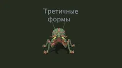 [XYZSchool] Детализация|Detailing