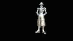 フリーザ Freeza Twin Garage Kit
