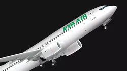Boeing 737-800 EVA Air Low-poly 3D model