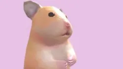 Hamtaro