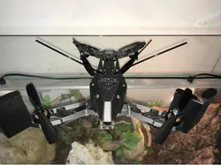 Horus Kestrel V1 (by Horus Drones)