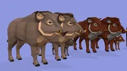 Low Poly Boar family