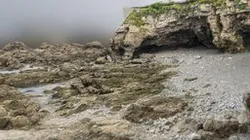 Stone and gravel beach scan