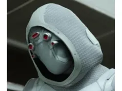 Future Ghost  "Antman & Wasp"