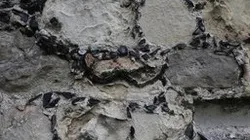 Reused chevron voussoir fragment BL2