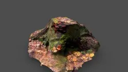 Tree stump