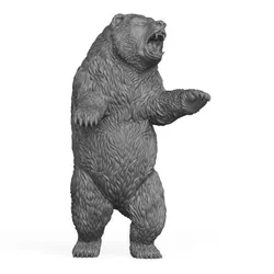Wild Bear 3D Print Model