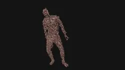 barbed wire man rigged