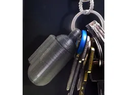 Ear plug container