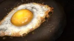 Fried Egg - Cooking Animation