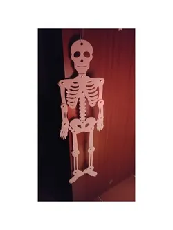 Skeleton 2D
