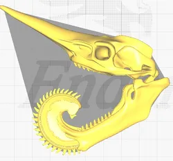 3D Model of Helicoprion Fictitious Skull - Interpretation of a Prehistoric Mystery