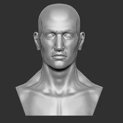 Male Head 3D Model