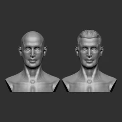 Male Head 3D Model