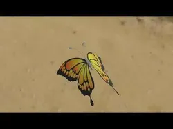 Rigged And Animated Butterfly 3D model