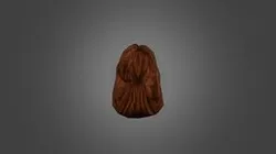 TS2 Brown Jennifer Hair
