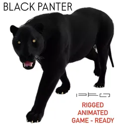 Black Tiger 3D model