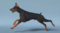 Duberman with Rugby Ball 3D model