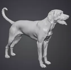 FEMALE HOUND DOG 3D print model