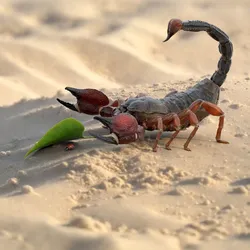 Hunting Scorpion  Animated Rigged 3D model