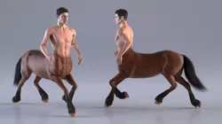 Male Centaur Walking Pose Fur 3D model