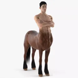 Male Centaur with Crossed Arms Fur 3D model
