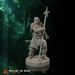 Morginn the Druid