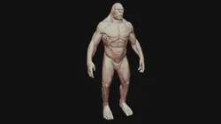 Sasquatch