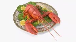 Boiled Lobster Plate with Lemon Slices and Lettuce 3D model