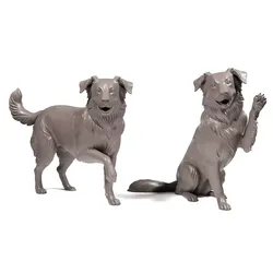 Border Collie Dogs 3D print model