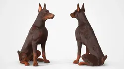 Brown Doberman Pinscher Fur for Cinema 4D Rigged 3D model