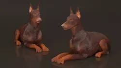Brown Doberman Pinscher Lying Down Fur for Cinema 4D 3D model