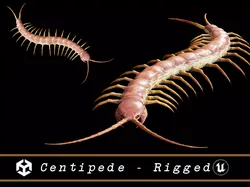 Centipede - Rigged  Low-poly 3D model