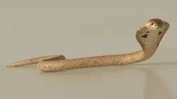 Crawling Light Skin Cobra Animated Rigged for Cinema 4D 3D model