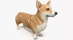 Dog Welsh Corgi Pembroke 3D model