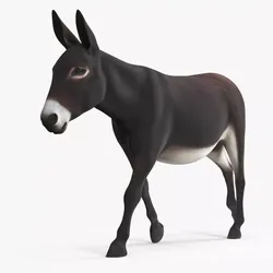Domestic Donkey Animal Dark Brown Rigged 3D model