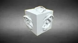 Ear Study Cube