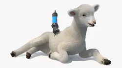 Electric Sheep Shears During Use on Lamb Fur 3D model