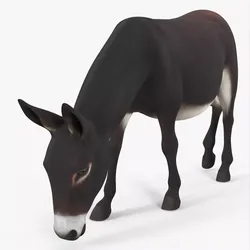 Farm Mammal Eating Dark Brown 3D model