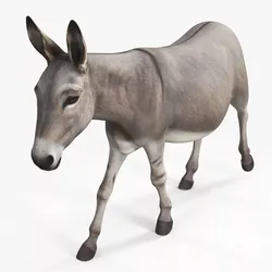 Four-Legged Livestock Donkey Rigged 3D model
