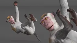 Hanging Rhesus Macaque Monkey Gray 3D model
