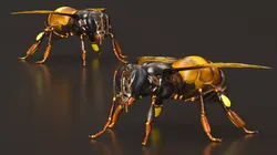 Honey Bee Insect Rigged 3D model