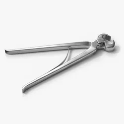 Hoof Nippers with Curved Blades Silver 3D model