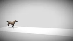 Horse Run
