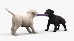Labrador Puppies Playing with Dog Toy 3D model