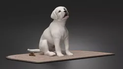 Labrador Retriever Puppy Pooped on the Mat 3D model