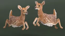 Leaping White-Tailed Fawn Deer Fur for Cinema 4D Low-poly 3D model