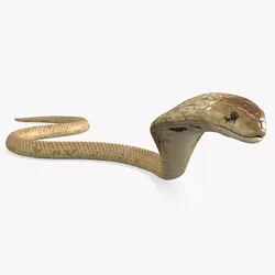 Light Skin Cobra Attack Animated Rigged for Maya Low-poly 3D model
